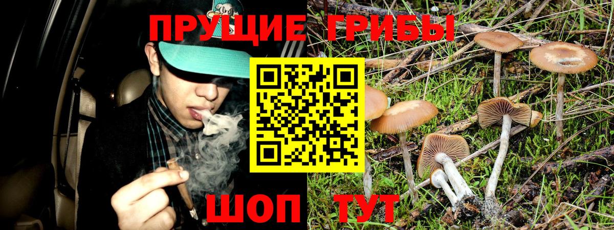 Псилоцибиновые грибы MAGIC MUSHROOMS Шебекино