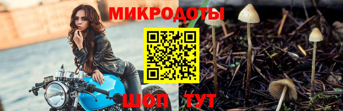 Шебекино  Вход с VPN  A PVP СОЛЬ   ГАШ  Меф МЯУ МЯУ кристаллы  Каннабис 
